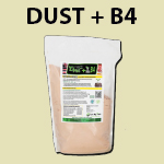 Dust + B4